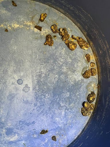 Gallstones purged